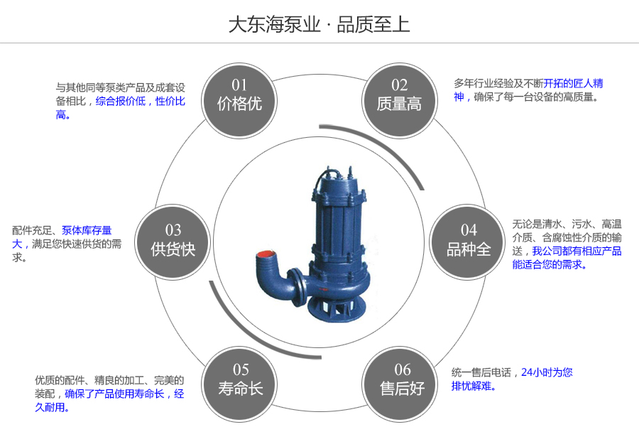 大東海泵業QW型潛水泵質量保證圖